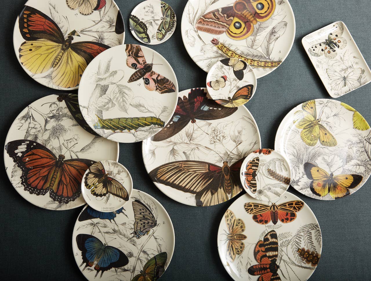 Specimen Etching Valet Tray