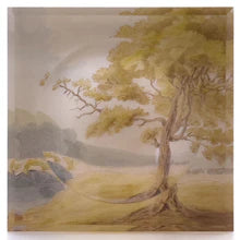 Savery Tree Soap Dish
