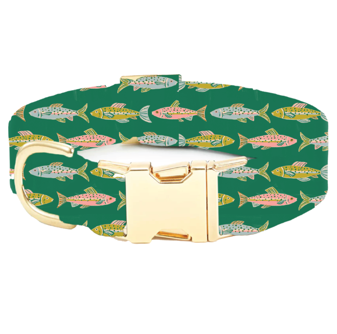 Gone Fishing Dog Collar - Medium