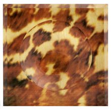 Tortoise Soap Dish