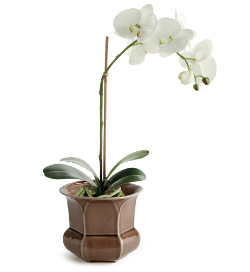 Glazed Brown Octagonal Pot