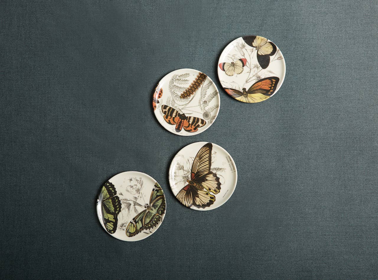 Specimen Coasters - Set/4