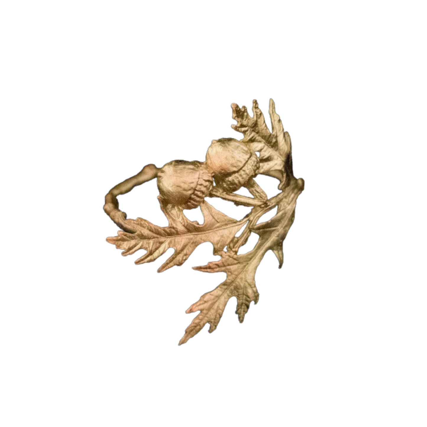 Acorn Napkin Rings - Set/8, Gold