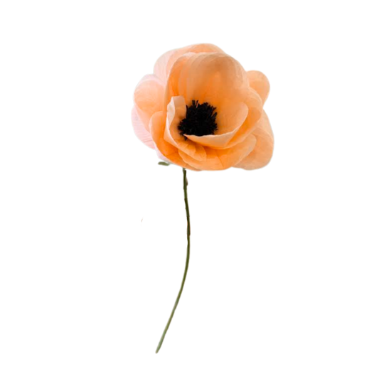 Anemone Stem Peach