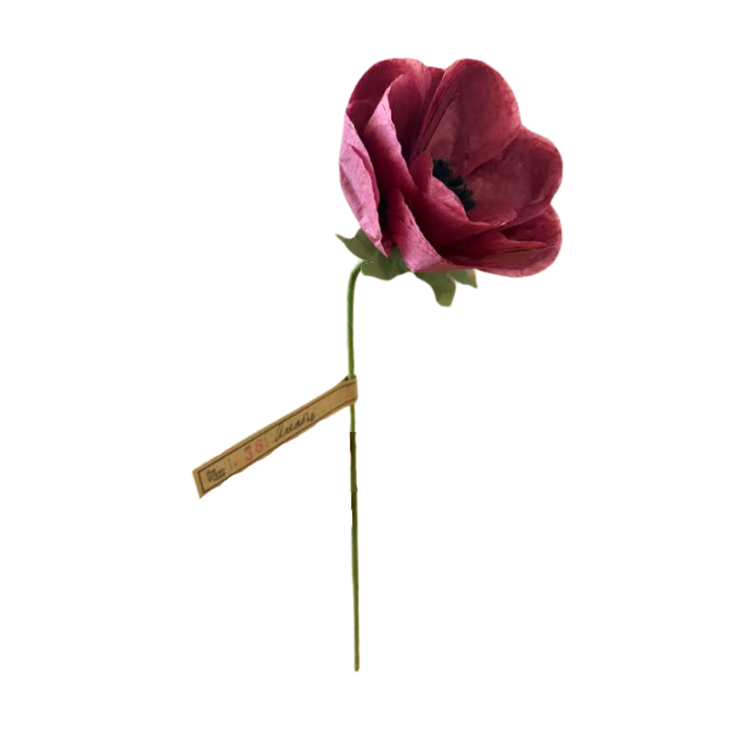 Anemone Stem - Burgundy