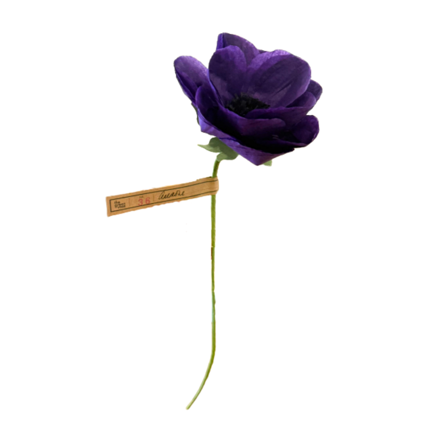 Anemone Stem - Purple