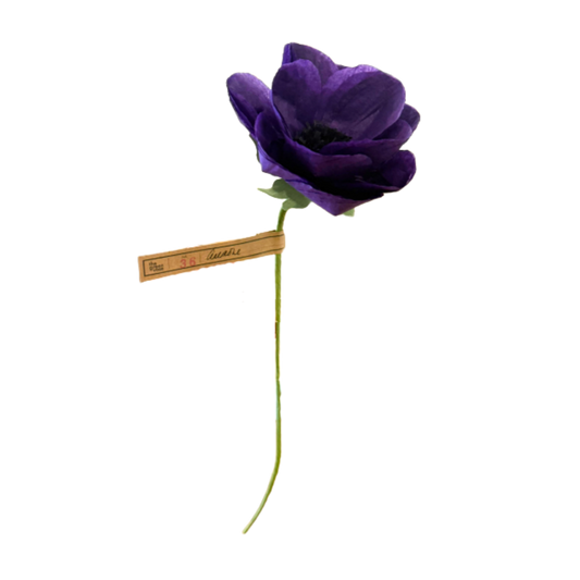 Anemone Stem - Purple