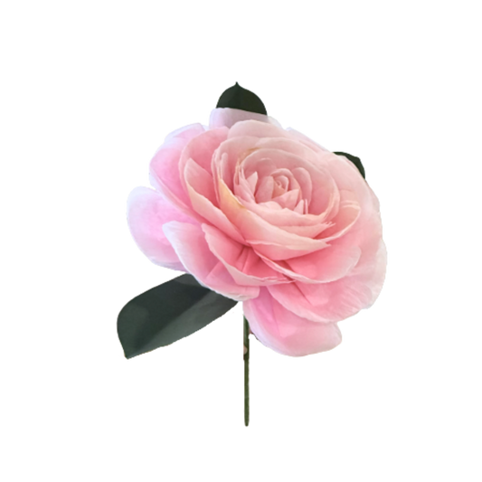 Camellia Stem - Light Pink