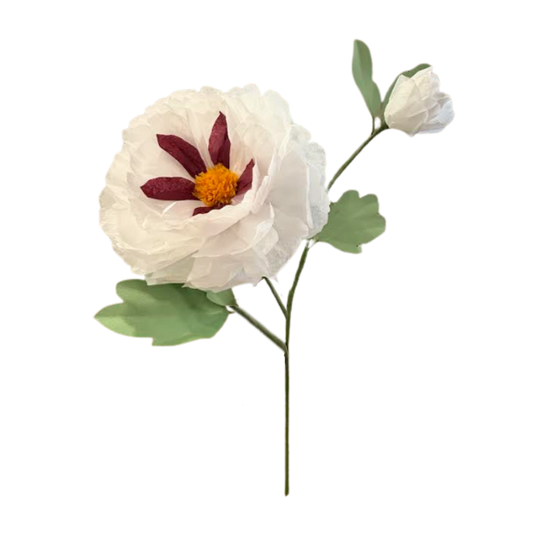 Tree Peony Stem - White and Burgundy