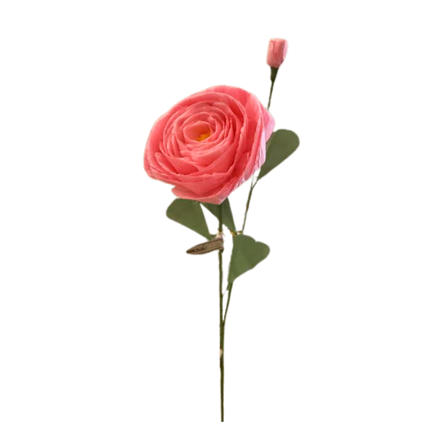 Ranunculus Stem - Pink