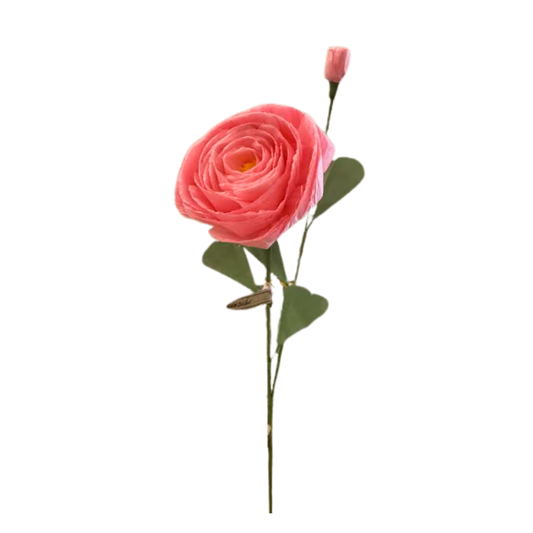 Ranunculus Stem - Pink