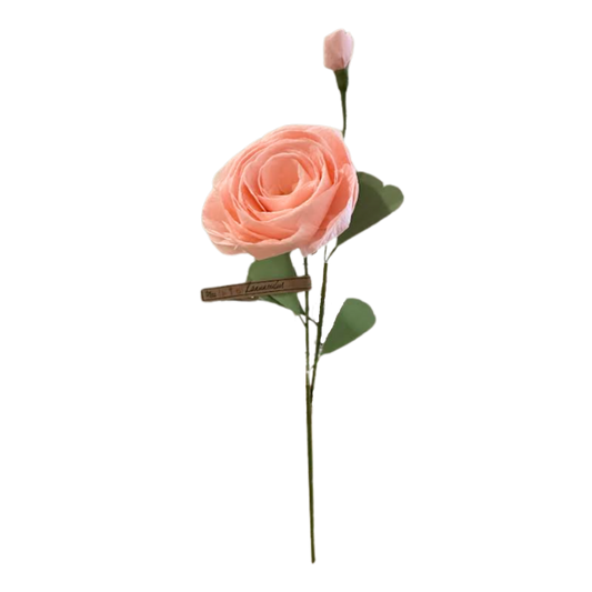 Ranunculus Stem - Blush