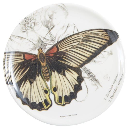 Specimen Coasters - Set/4