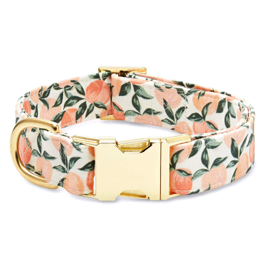 Peaches and Cream Dog Collar - Medium