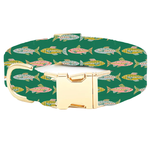 Gone Fishing Dog Collar - Medium