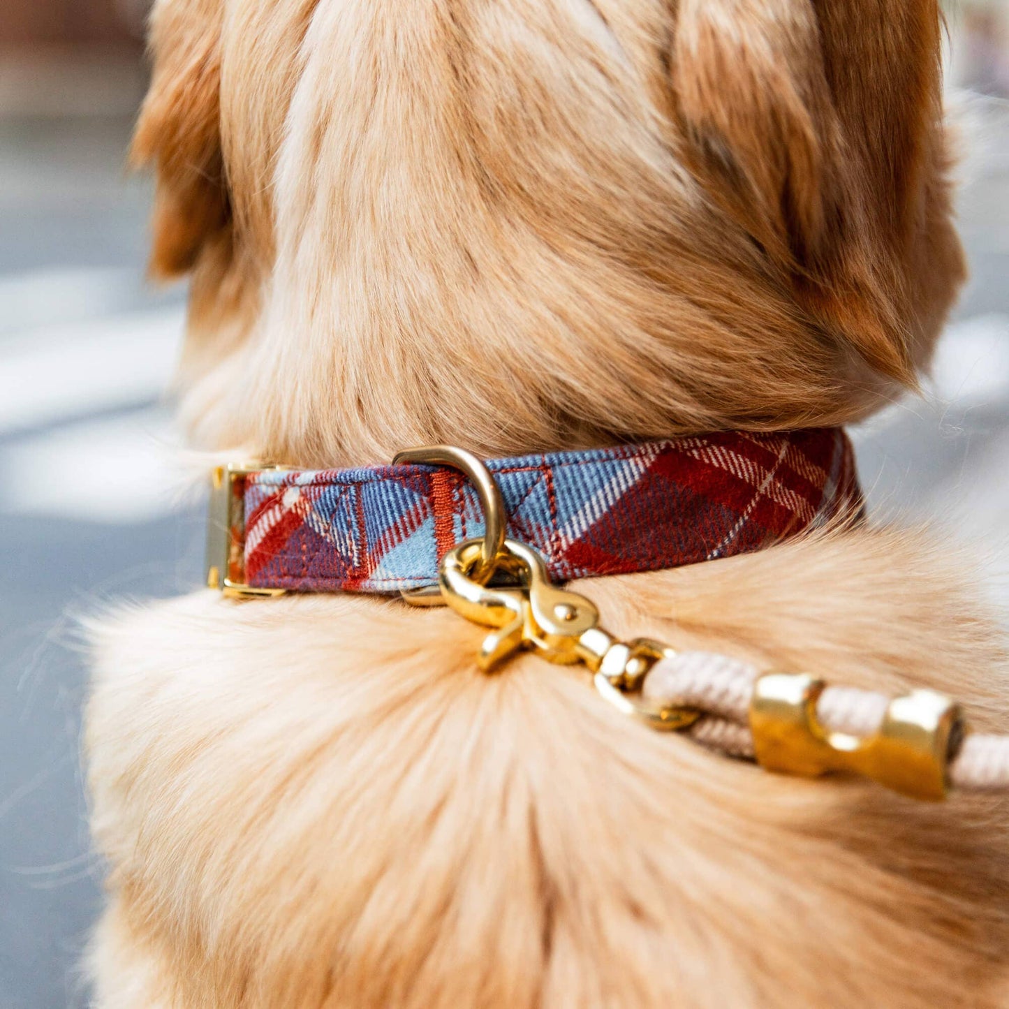 Maple Plaid Flannel Dog Collar - Medium