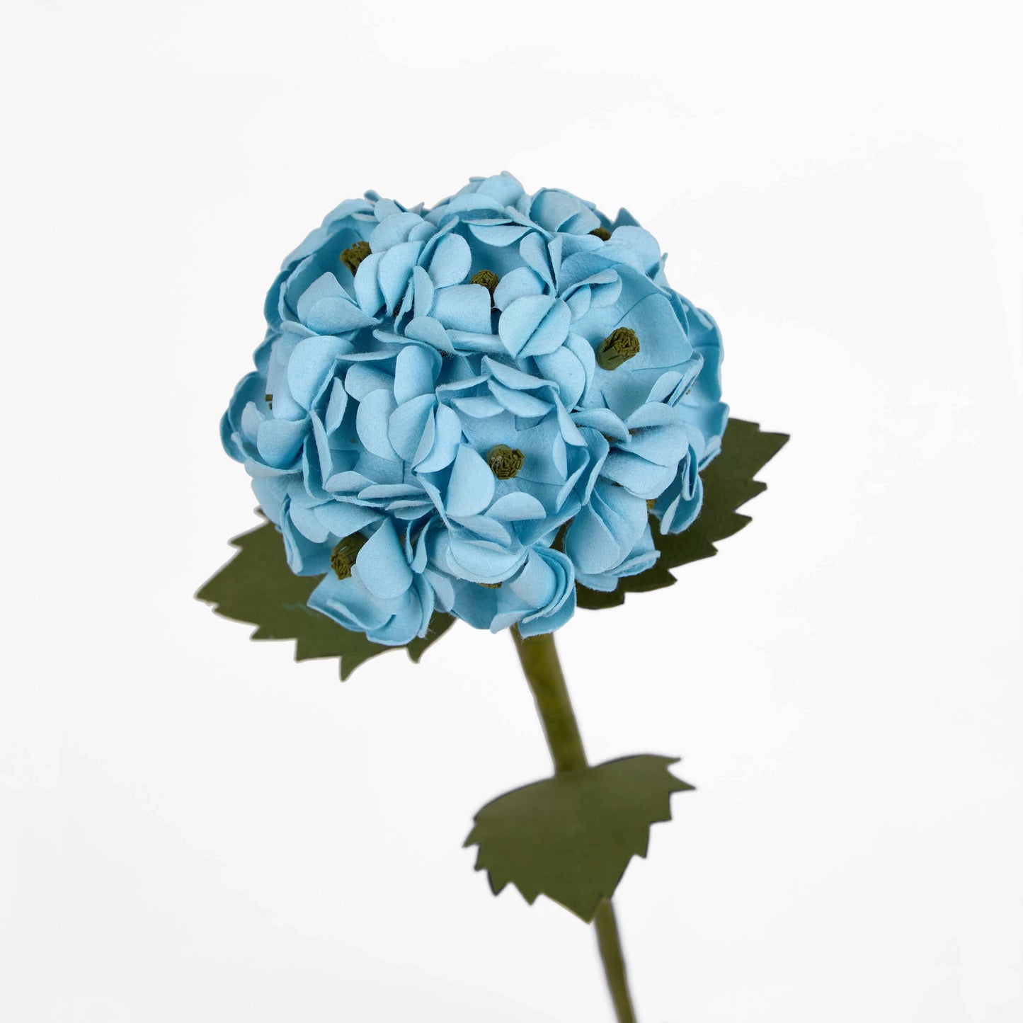 Blue Hydrangea Stem