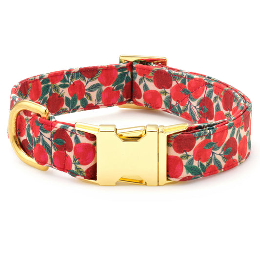 Apple Dog Collar - Large