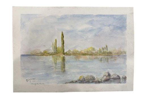 Landscape of Etang des Noues, FR