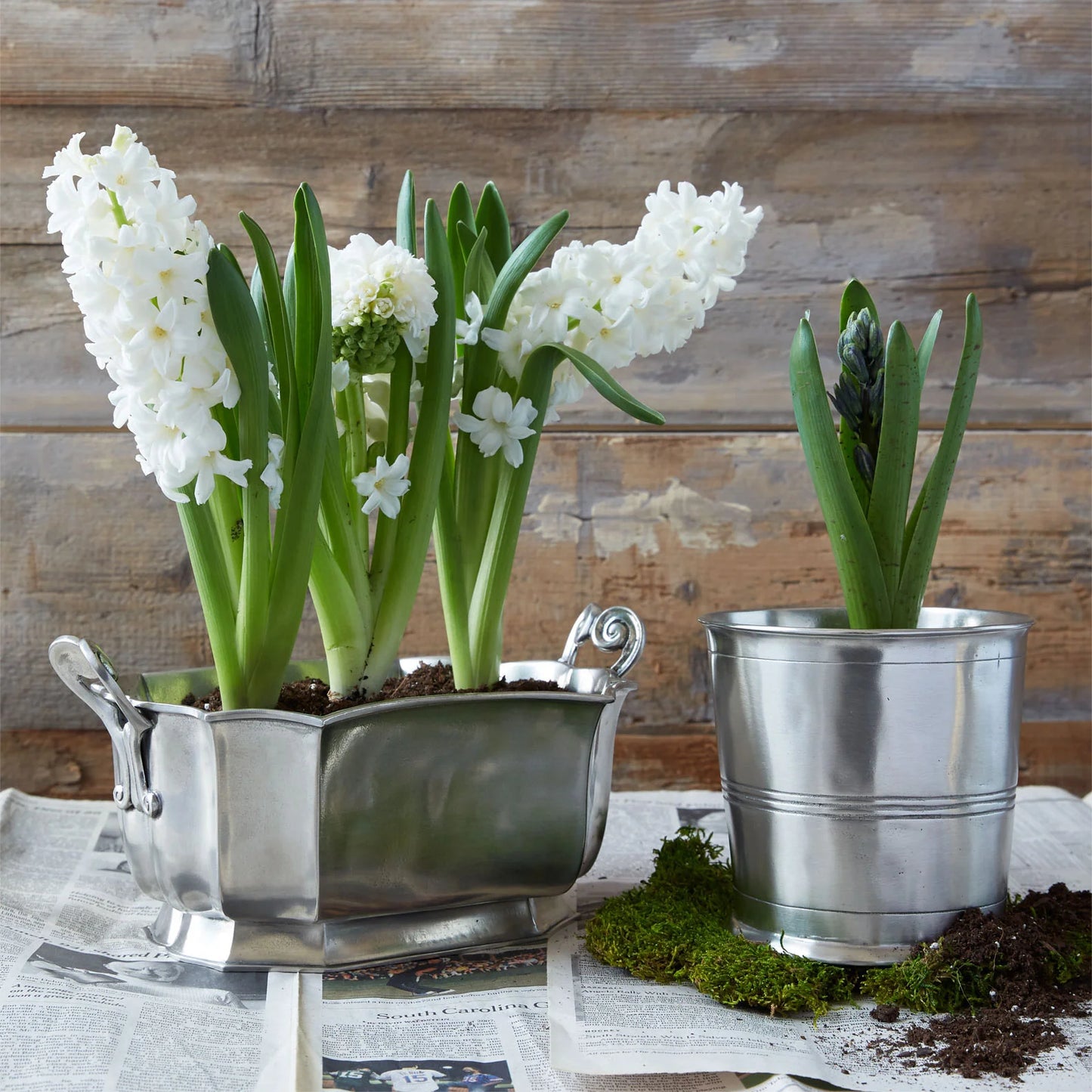 Pewter Mushroom Bowl