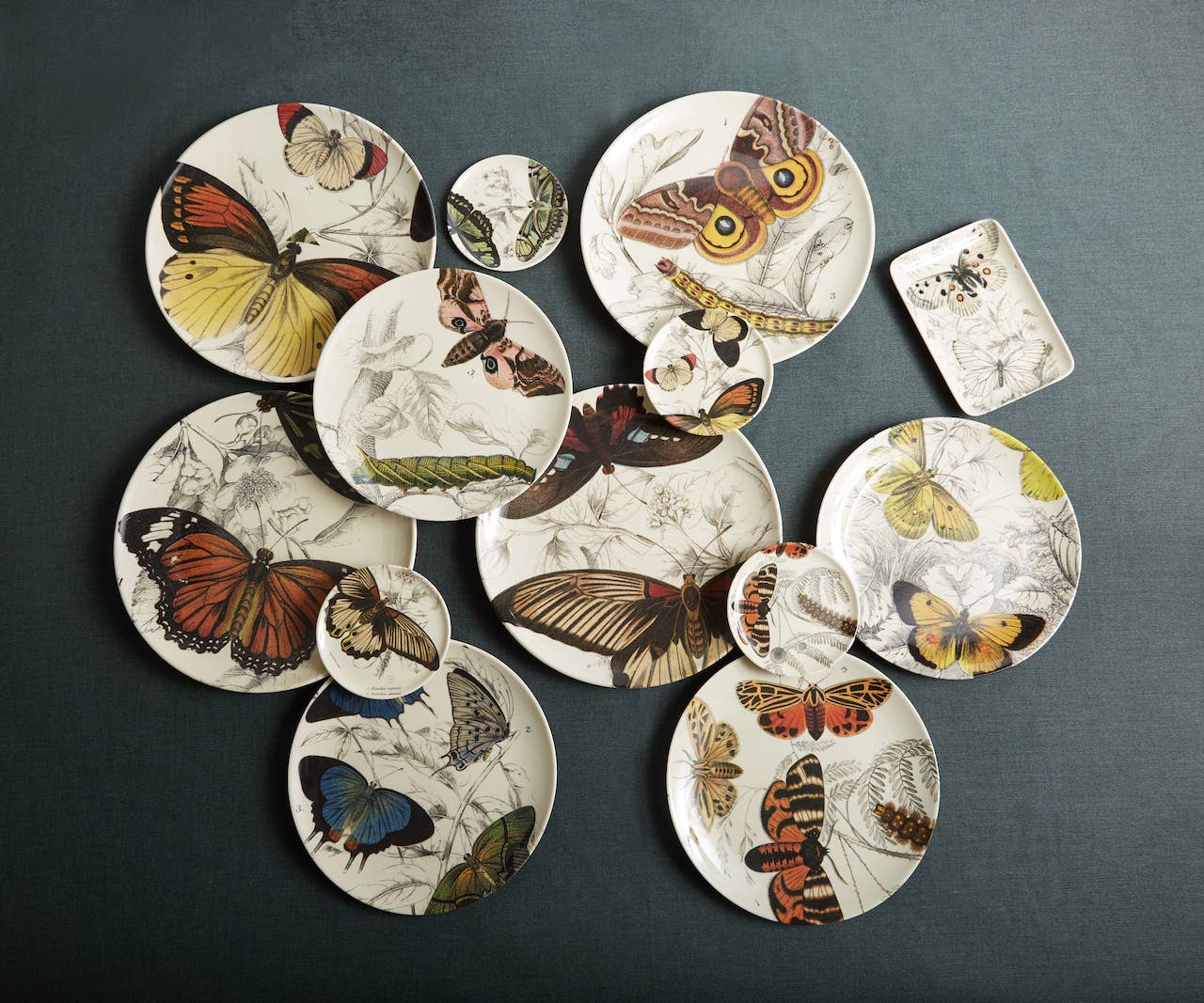 Specimen Coasters - Set/4