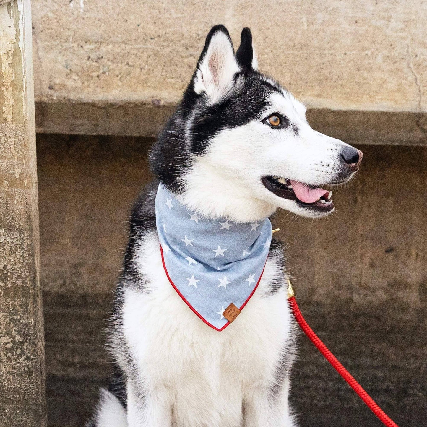 Liberty Dog Bandana - Medium