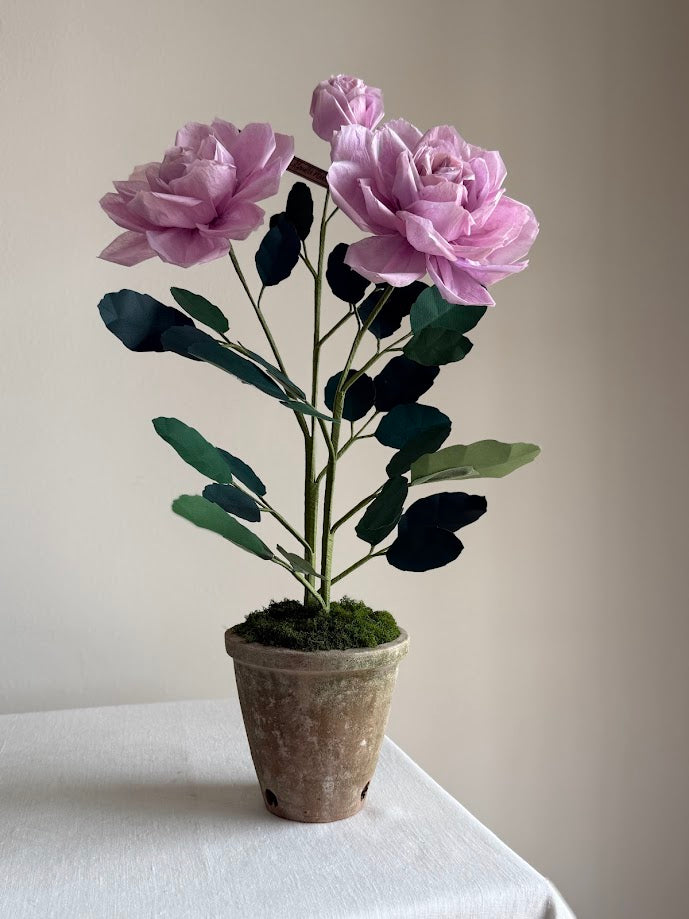 Charles de Gaulle Plant