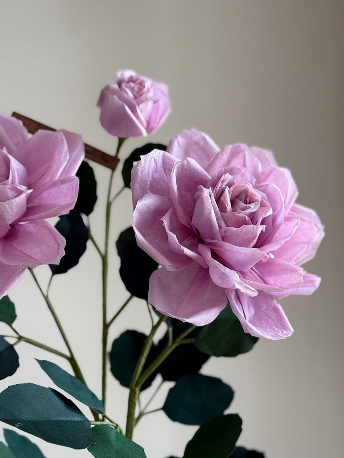 Charles de Gaulle Plant