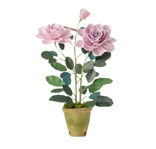 Charles de Gaulle Plant