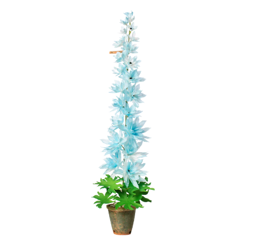 Delphinium Plant - Small Blue