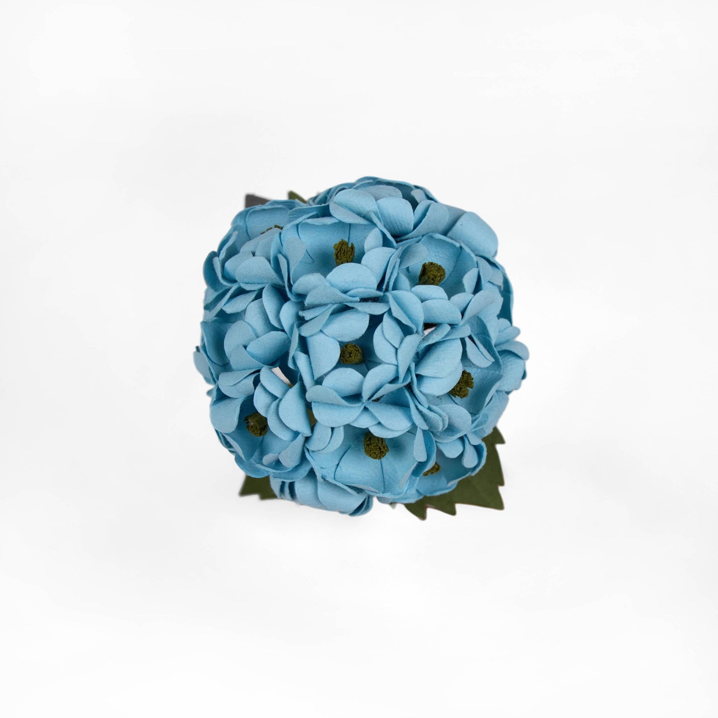 Blue Hydrangea Stem
