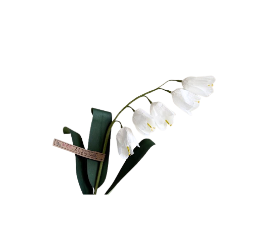 Lily of the Valley Stem