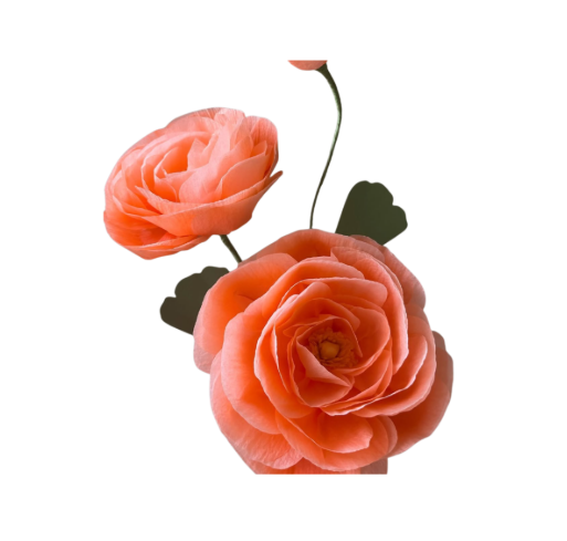 Ranunculus Stem - Soft Orange