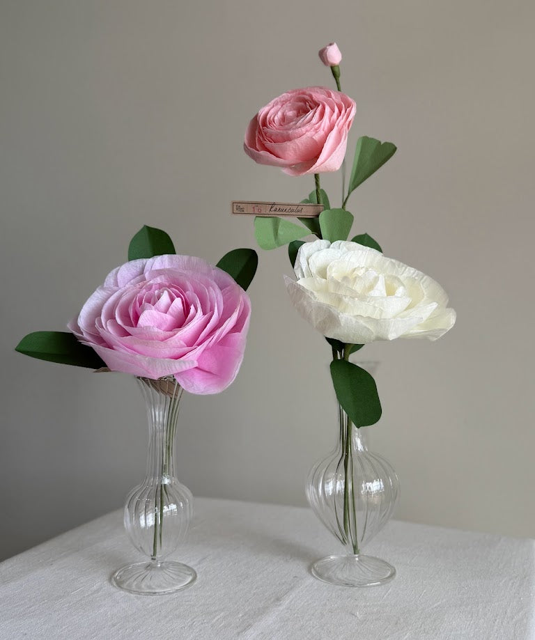 Camellia Special Stem - White