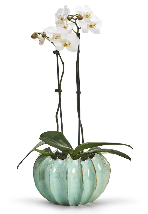 XL Celadon Gourd Vase